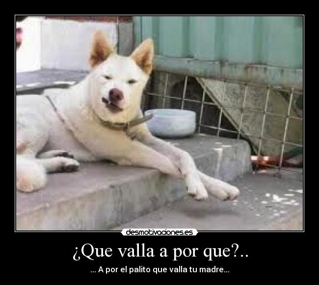 ¿Que valla a por que?.. - 