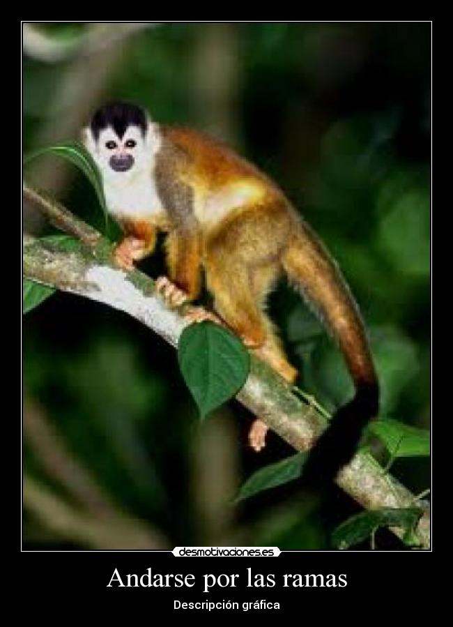 Andarse por las ramas - Descripción gráfica