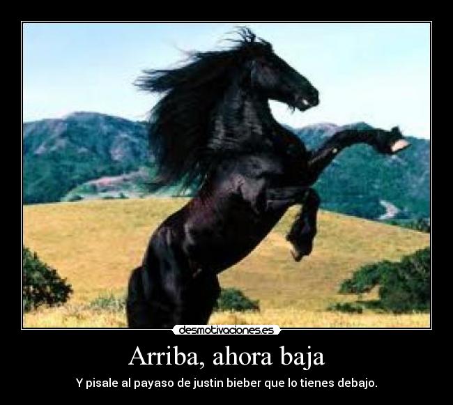 Arriba, ahora baja - 