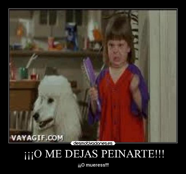¡¡¡O ME DEJAS PEINARTE!!! -