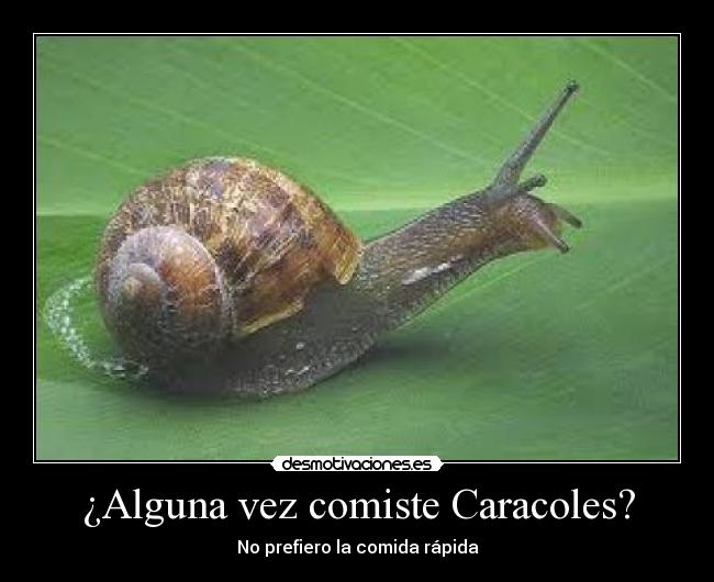 ¿Alguna vez comiste Caracoles? - No prefiero la comida rápida