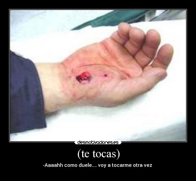 (te tocas) - 