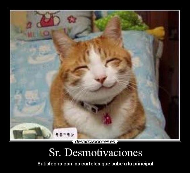 Sr. Desmotivaciones - Satisfecho con los carteles que sube a la principal