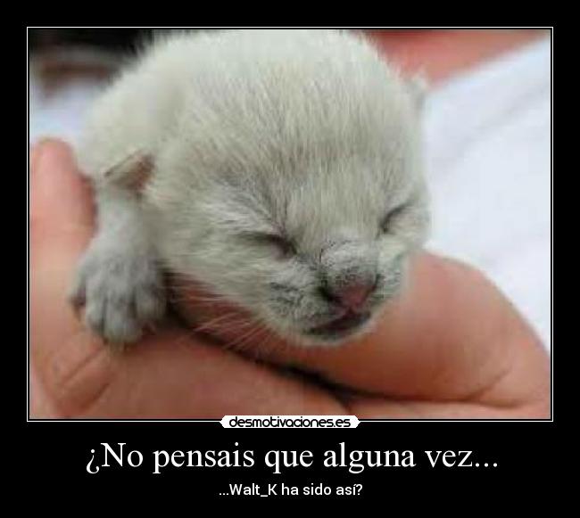 ¿No pensais que alguna vez... -