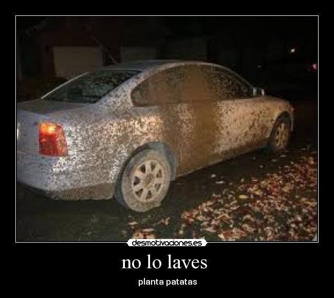 no lo laves  - 