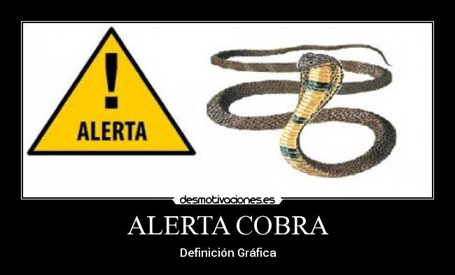 ALERTA COBRA -