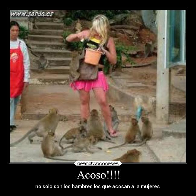 Acoso!!!! -