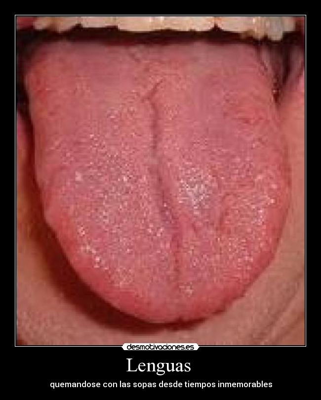 Lenguas Desmotivaciones