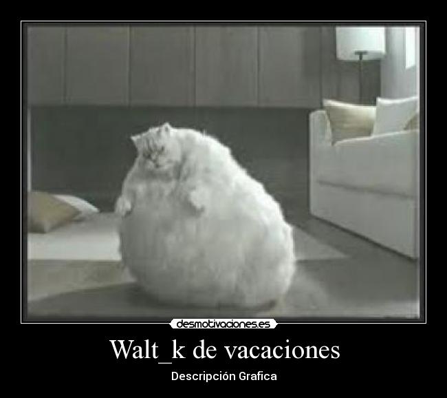 Walt_k de vacaciones -