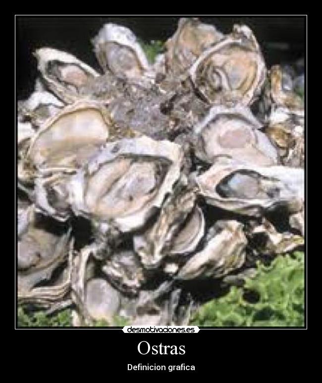 Ostras -