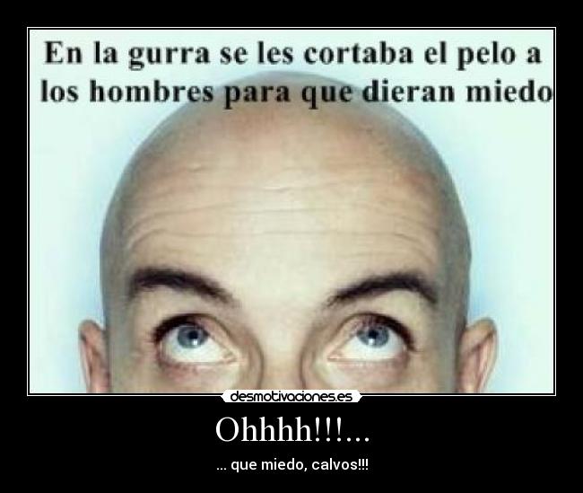 carteles calvo miedo desmotivaciones