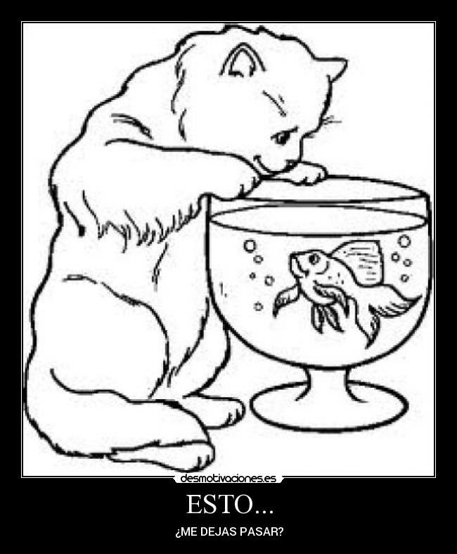 ESTO... - ¿ME DEJAS PASAR?