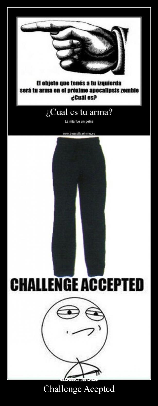 Challenge Acepted -