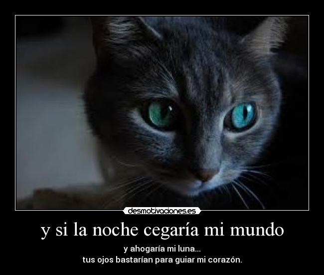 y si la noche cegaría mi mundo -
