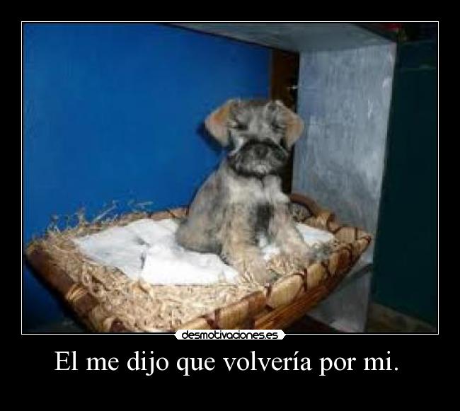 El me dijo que volvería por mi. -