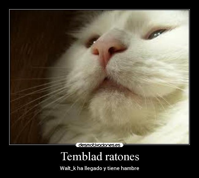 Temblad ratones - Walt_k ha llegado y tiene hambre