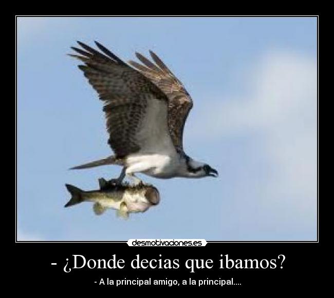 - ¿Donde decias que ibamos? - 