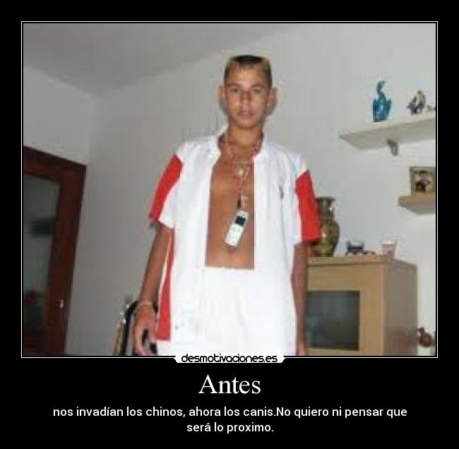 Antes - nos invadían los chinos, ahora los canis.No quiero ni pensar que será lo proximo.