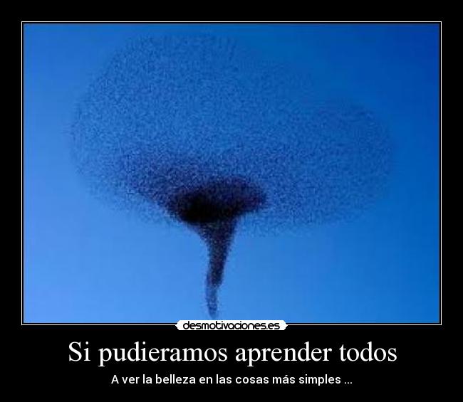 Si pudieramos aprender todos - A ver la belleza en las cosas más simples ...