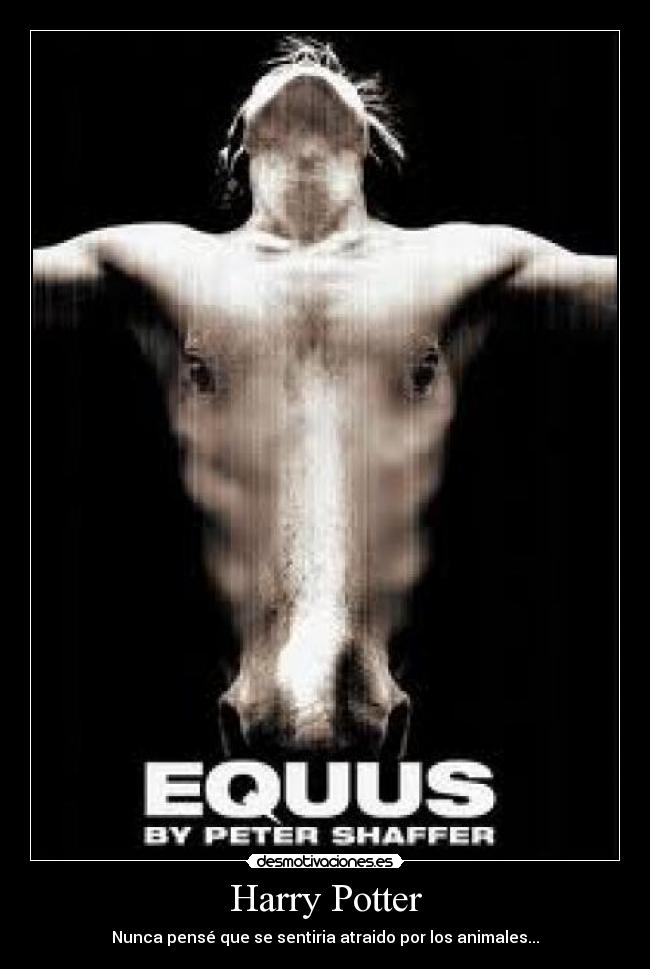 Harry Potter - Nunca pensé que se sentiria atraido por los animales...