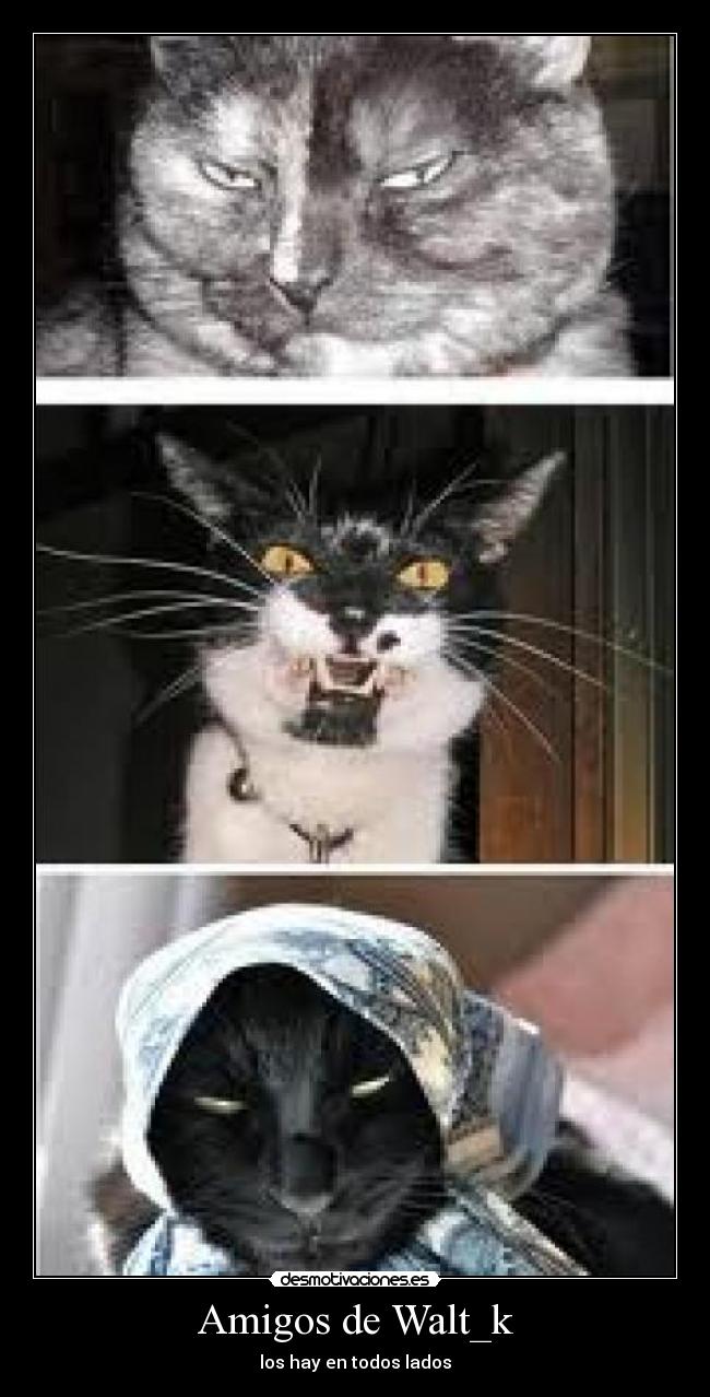 Amigos de Walt_k -