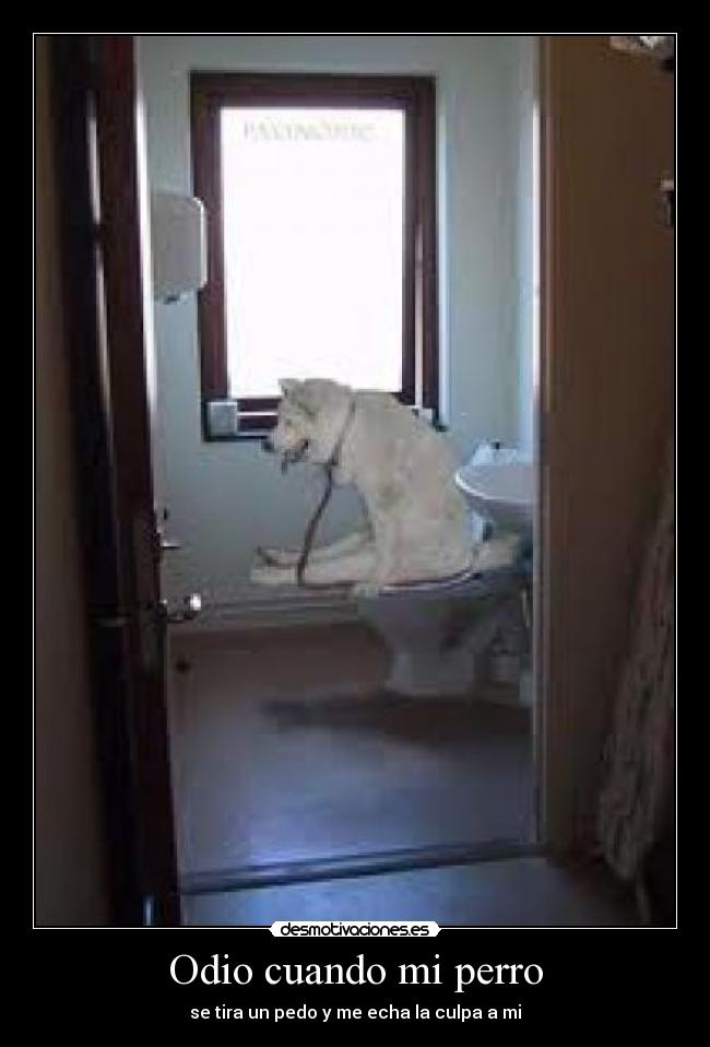 Odio cuando mi perro -