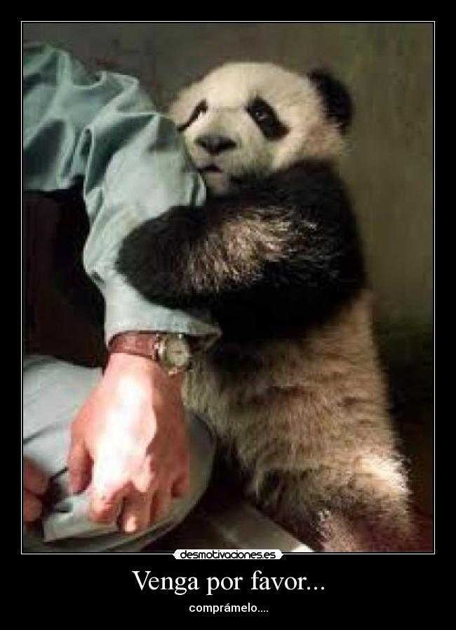 Venga por favor... - 