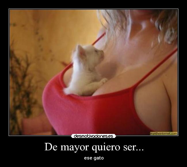 De mayor quiero ser... - 