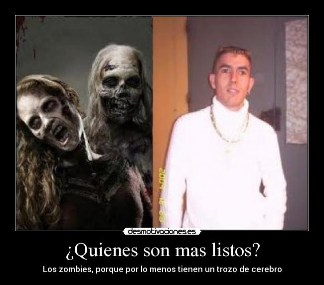 ¿Quienes son mas listos? -