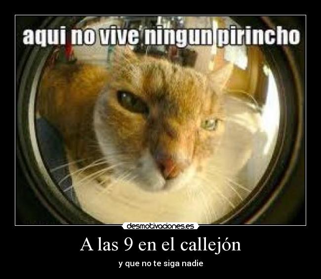 A las 9 en el callejón -