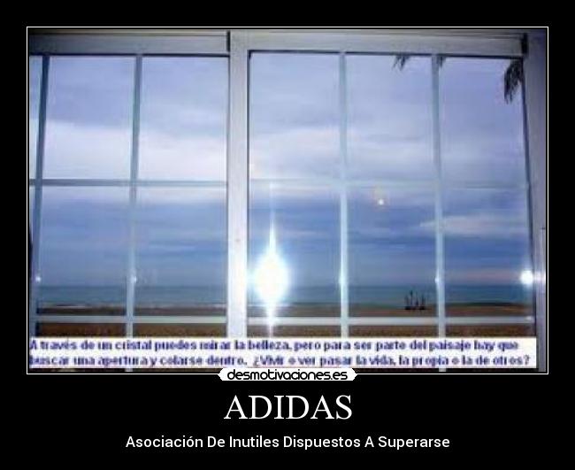 ADIDAS -