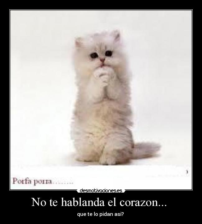 No te hablanda el corazon... -