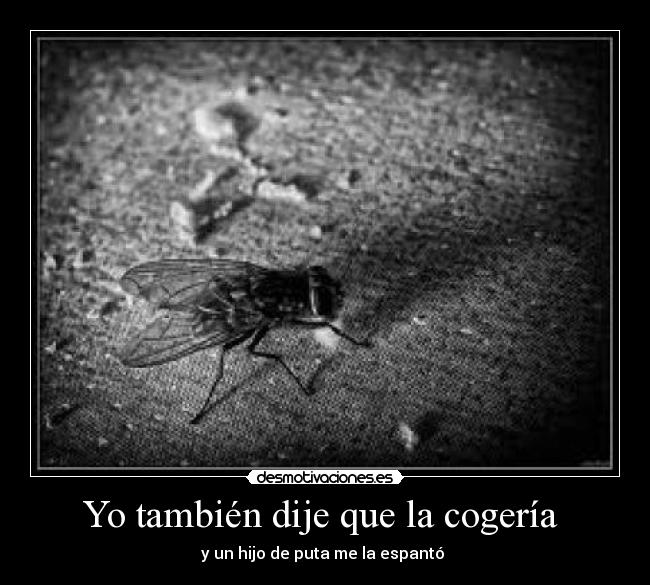 Yo también dije que la cogería -