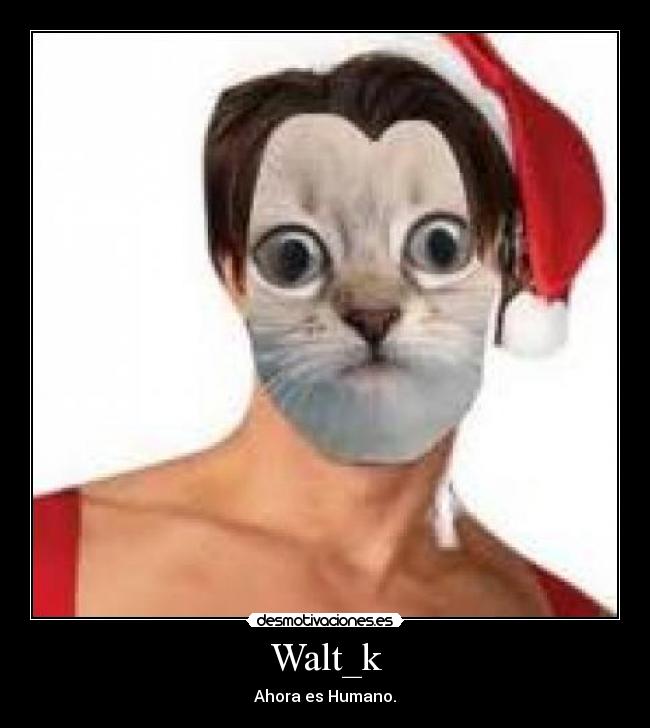 Walt_k - 