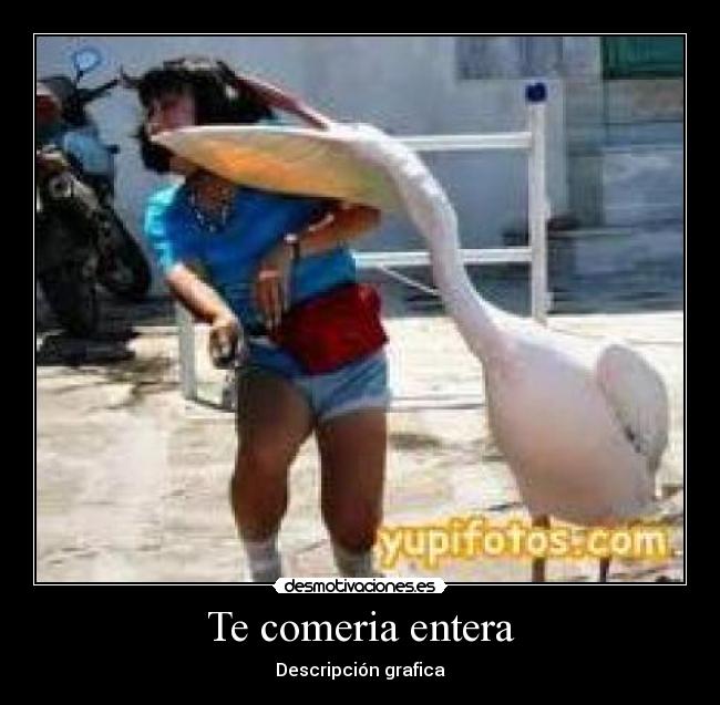 Te comeria entera - 