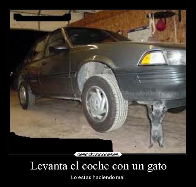 Levanta el coche con un gato -