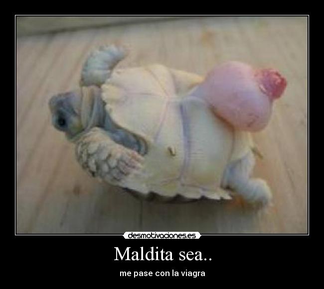 Maldita sea.. - 