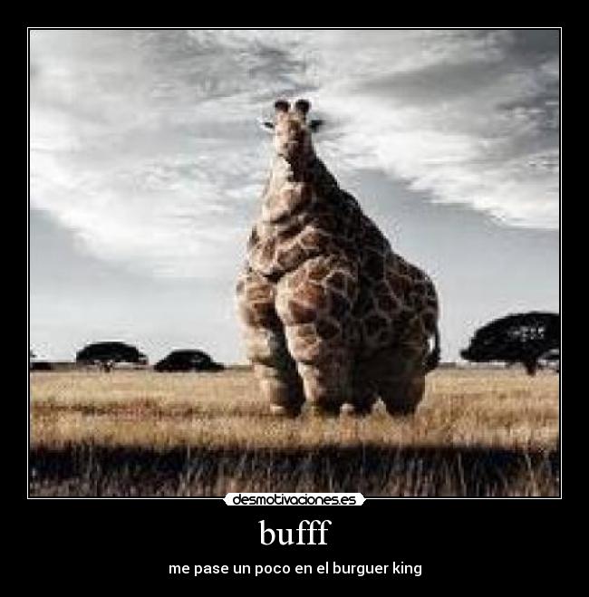 bufff -