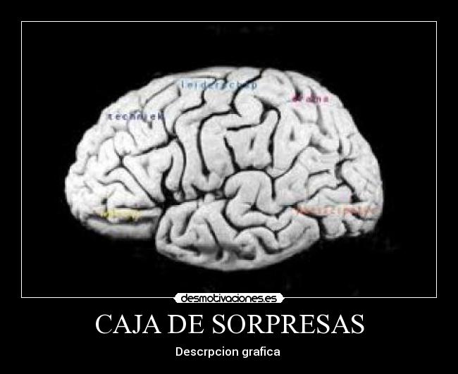 CAJA DE SORPRESAS - Descrpcion grafica 