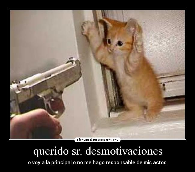 querido sr. desmotivaciones - o voy a la principal o no me hago responsable de mis actos.