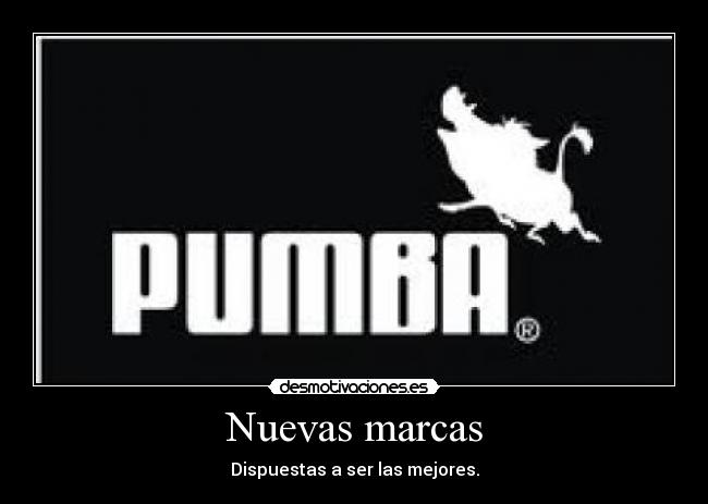 Nuevas marcas - Dispuestas a ser las mejores.