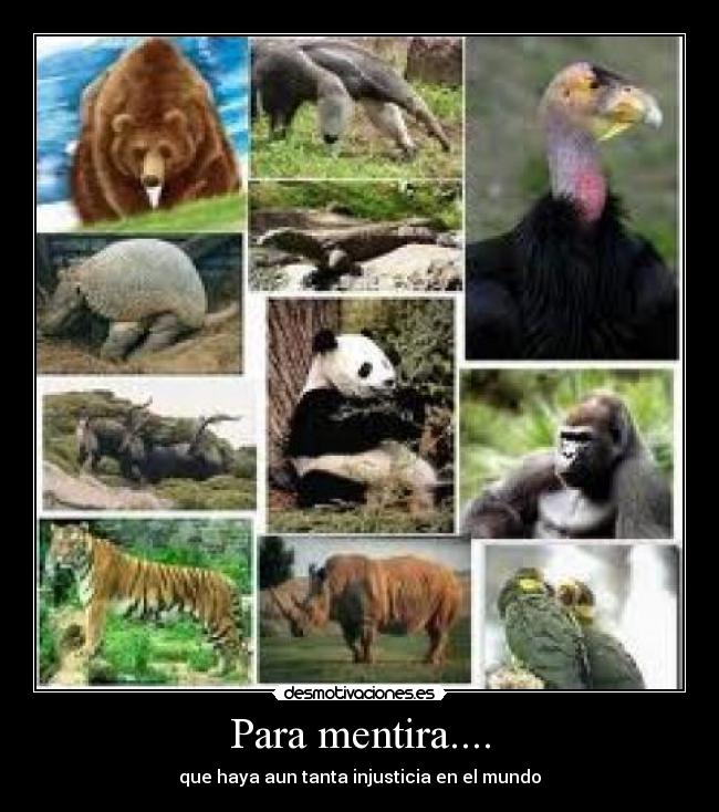 Para mentira.... - que haya aun tanta injusticia en el mundo