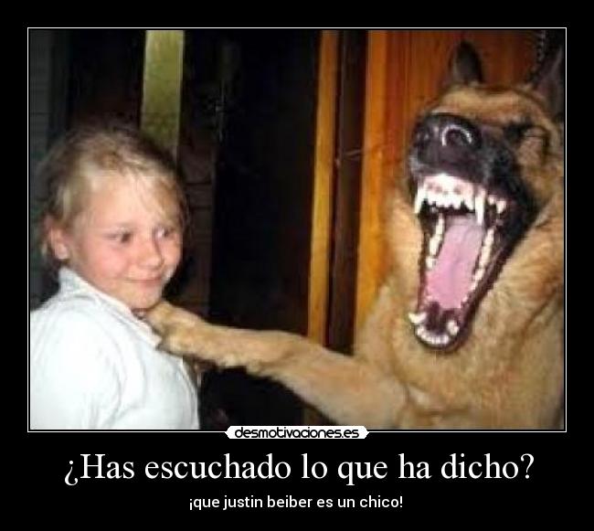 ¿Has escuchado lo que ha dicho? - 