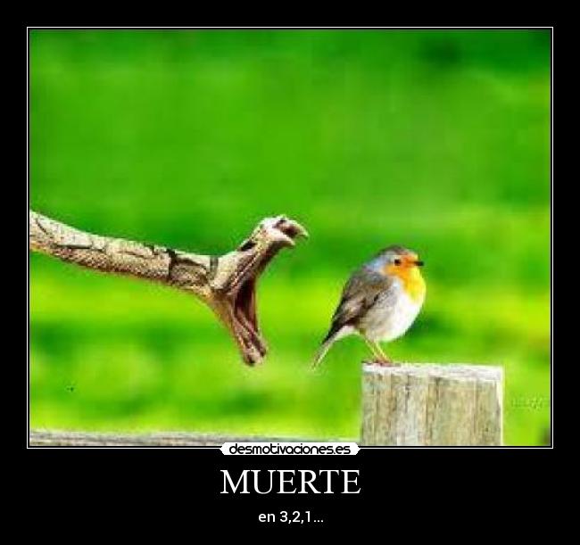 MUERTE - 
