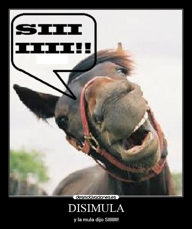 DISIMULA - 