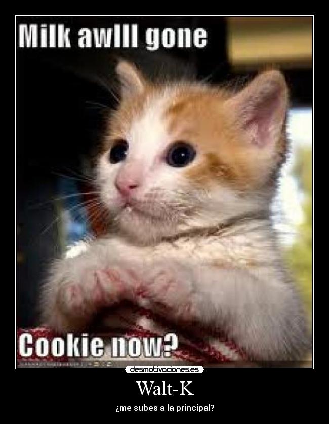 Walt-K - ¿me subes a la principal?