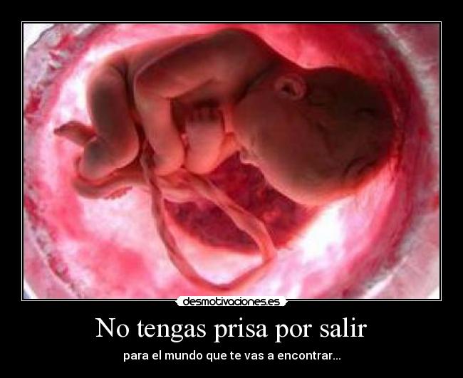 No tengas prisa por salir - para el mundo que te vas a encontrar...