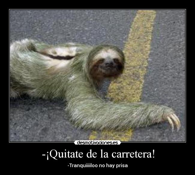 -¡Quitate de la carretera! - -Tranquiiiiloo no hay prisa