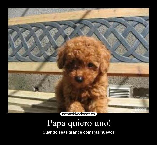 Papa quiero uno! - Cuando seas grande comerás huevos