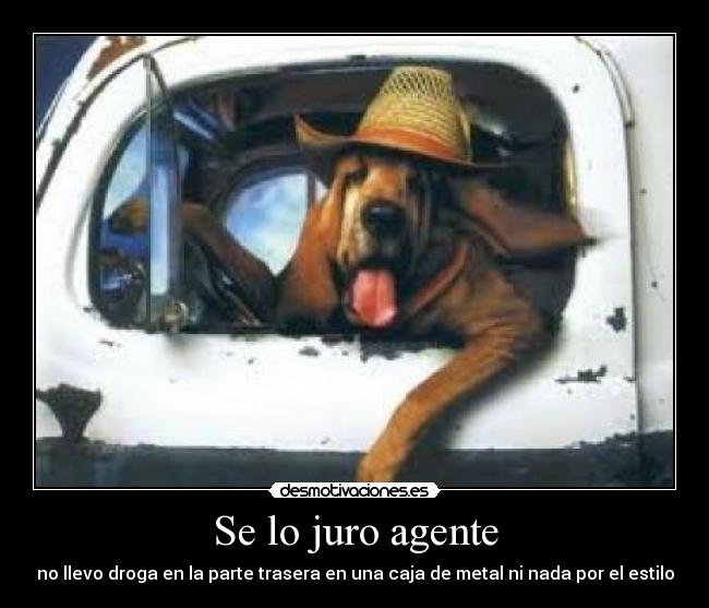 Se lo juro agente - no llevo droga en la parte trasera en una caja de metal ni nada por el estilo